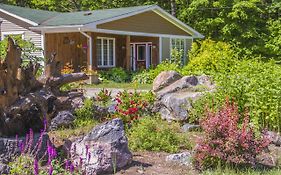 Bear & Butterfly Bed And Breakfast