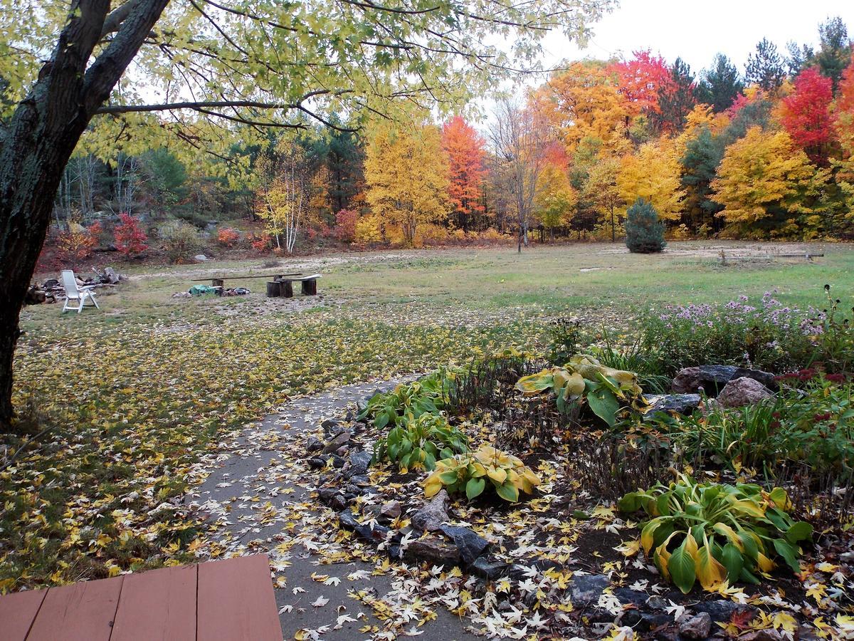 Bear & Butterfly Bed And Breakfast Gravenhurst Exterior photo
