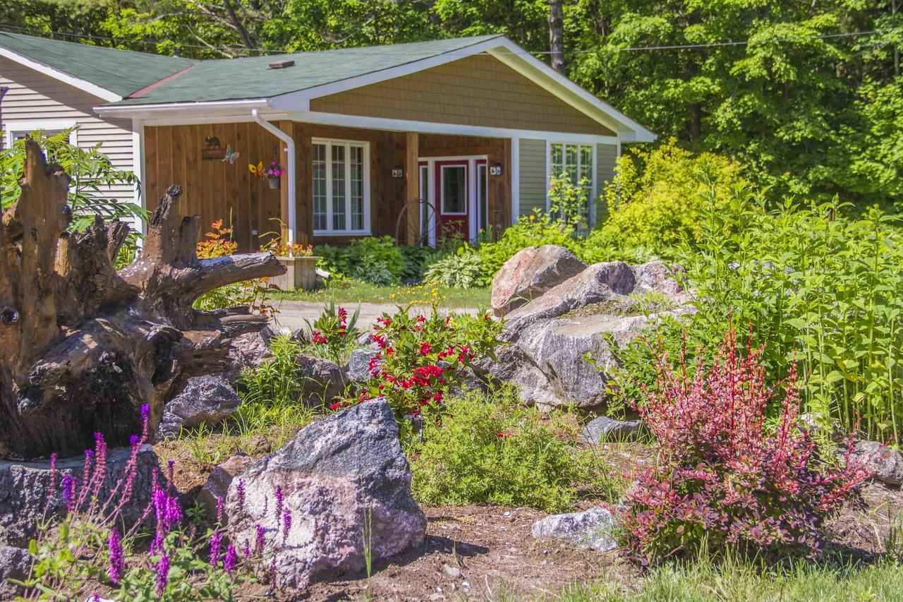 Bear & Butterfly Bed And Breakfast Gravenhurst Exterior photo
